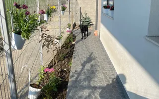 Casă tip duplex | Dezmir | Zonă rezidențială liniștită - Poză 14