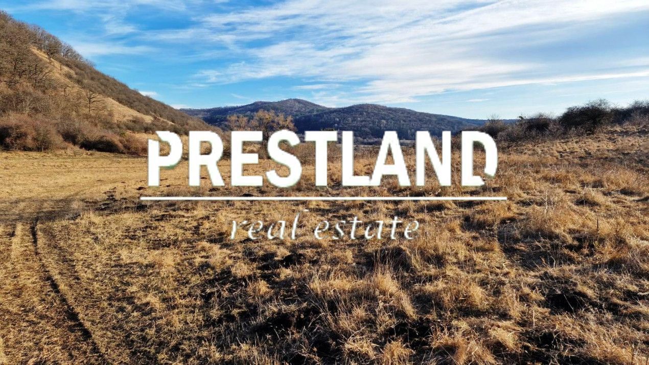 Teren 46.300 mp-zona Gușterița!! - Poză 3