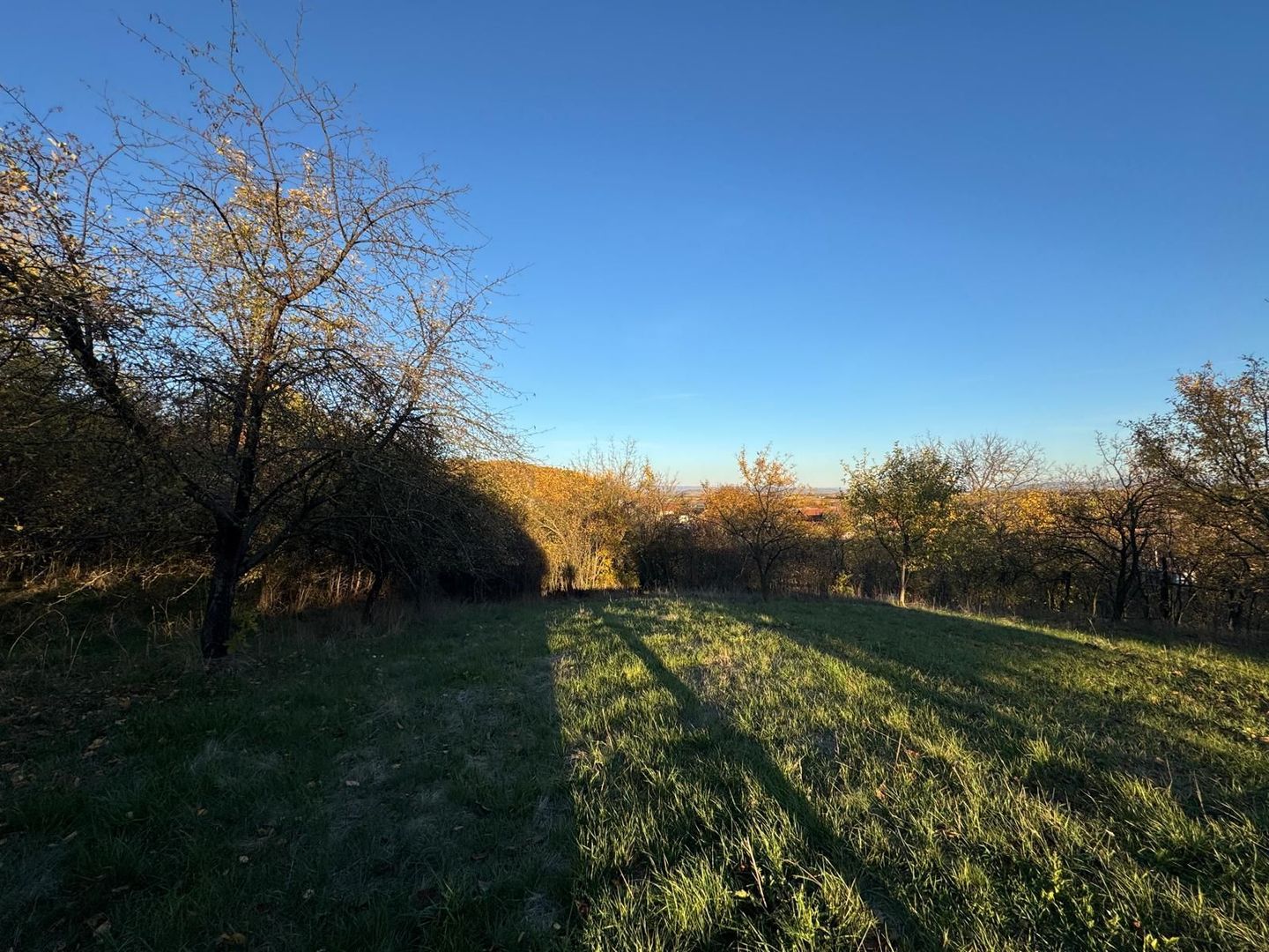 Teren intravilan 3323 Husasau de Cris - Poză 7