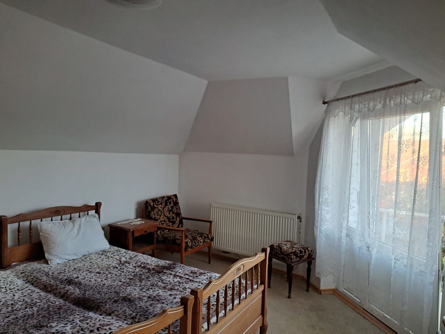 OFERTA in Băcia. Hunedoara ! Proprietate 2 case + Cabană - Poză 6