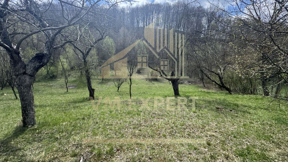 TEREN INTRAVILAN 4365 MP POENARII DE MUȘCEL  JUDEȚUL ARGES - Poză 24