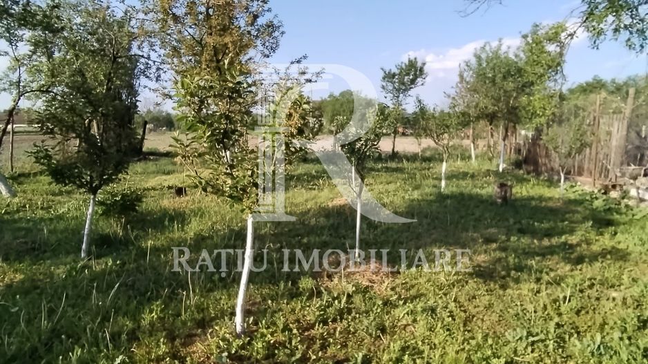 Casa cu 3 camere | Picleu | Bihor - Poză 14