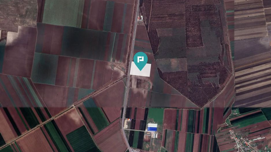 Teren 48300 mp, Daia, Giurgiu - Poză 1