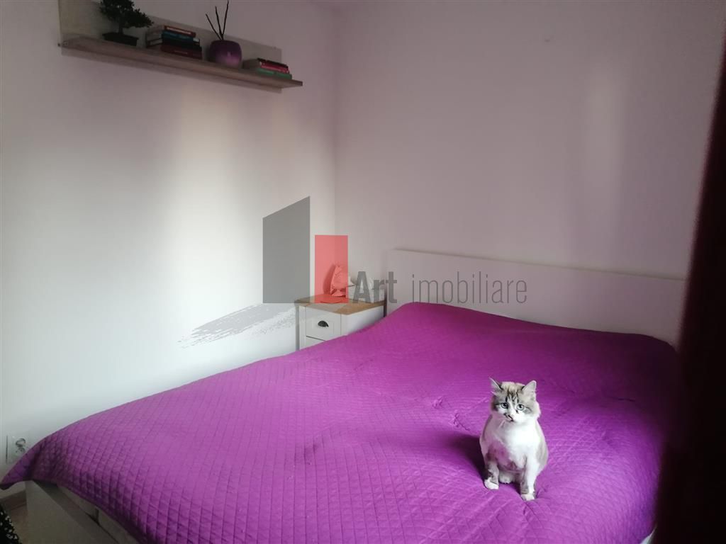 Apartamaent cochet 2 camere - Poză 3