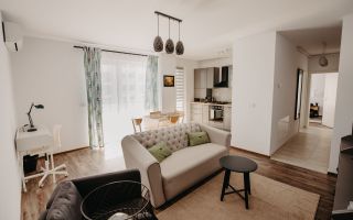 Apartament cu 2 camere/ Pet friendly/ zona Aradului - Poză 1