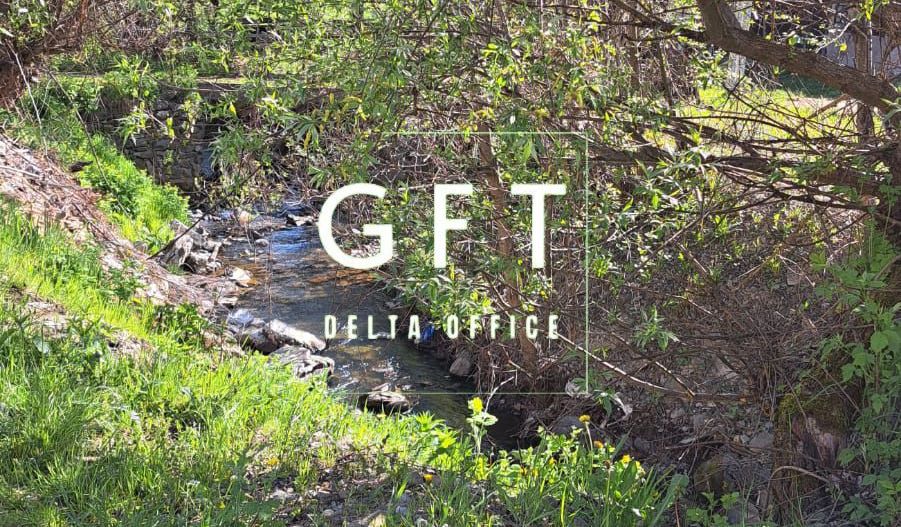 Teren extravilan de vanzare, Bistrita Bargaului- 10 minute de Colibita - Poză 13