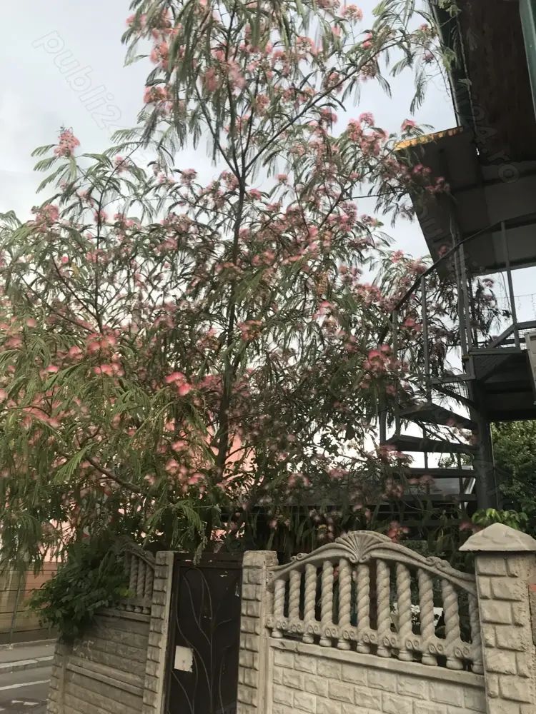 URGENT!, teren cu dubla deschidere,  casa reconditionata, NEGOCIABIL - Poză 2