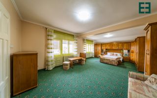 Casă spațioasă în orașul Pâncota județul Arad - Poză 7