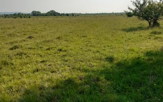 Teren  | Intravilan |5.000 MP | Valea Avrigului - Poză 1