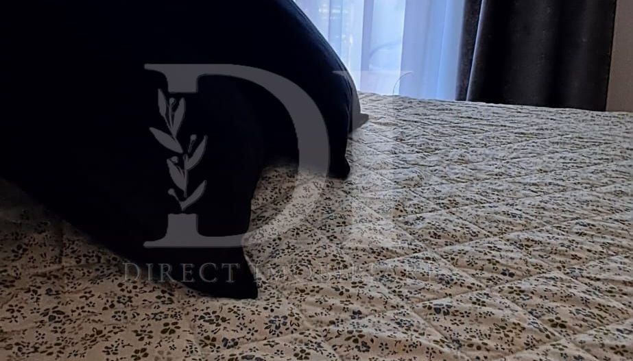 Apartament la cheie / Zona Vivo - Poză 9