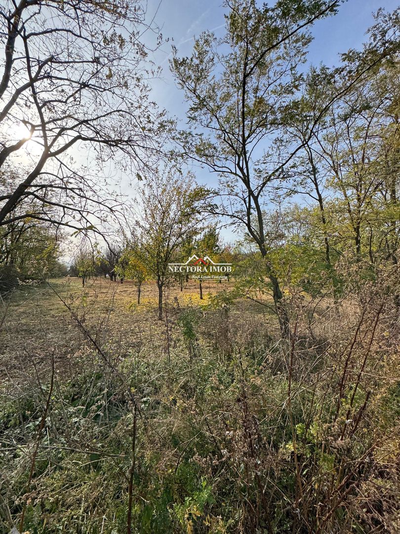 NECTORA IMOB-Teren cu livada matura+Anexa racordata la trifazic,9162mp - Poză 4