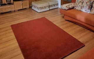 Apartament Câmpului, Zonă Liniștită, bloc tip vilă. Gradină de 30 mp. - Poză 1