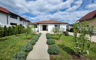 De vanzare casa 3 camere, 483mp teren, Alba Micesti