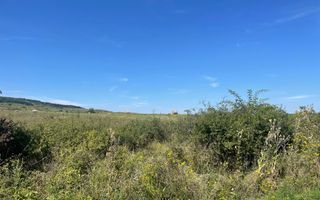 Teren Intravilan | Padureni | Investiție | 27000 mp - Poză 3