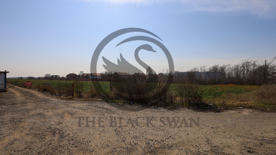 Teren de vanzare/inchiriere | 7800mp | Parcul Industrial | COMISION 0% - Poză 4