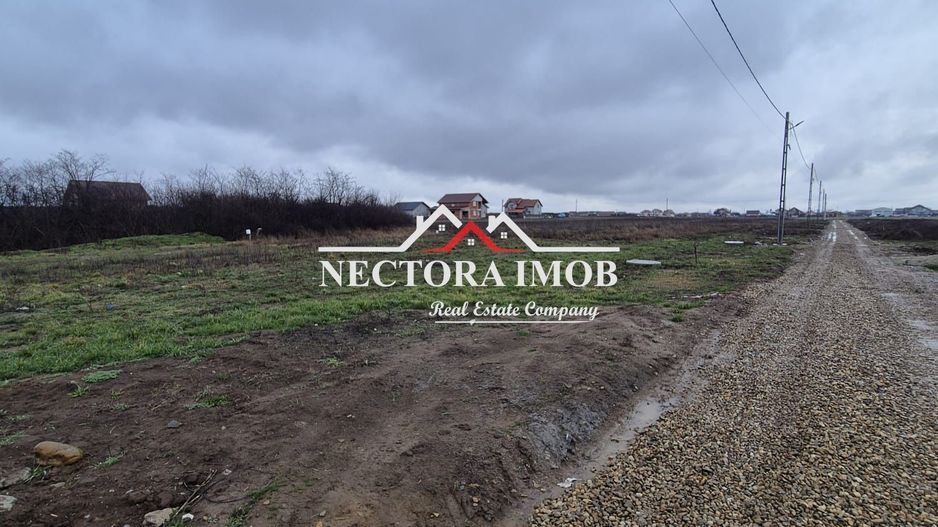 NECTORA IMOB-Teren Intravilan 501 mp, cu front 19ml, Nojorid,Utilitati - Poză 5