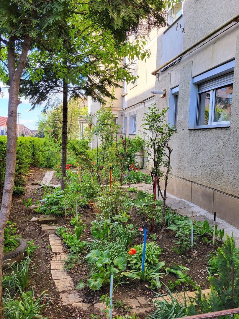 Exclusivitate - garsoniera, zugravită, centrală proprie - Poză 11