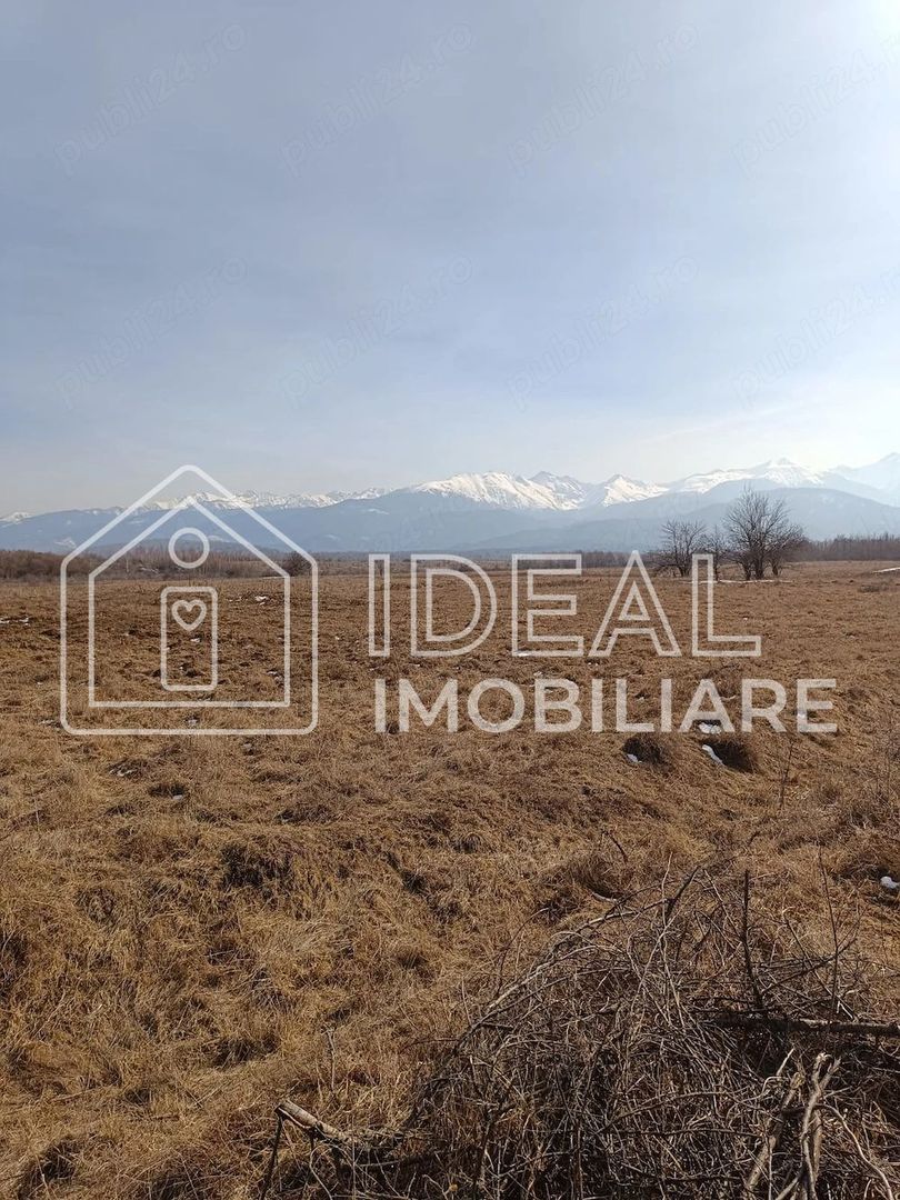 Teren 25.500 mp Valea Avrigului - Poză 3