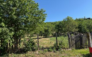 Casă de vânzare Cuzdrioara - Poză 19