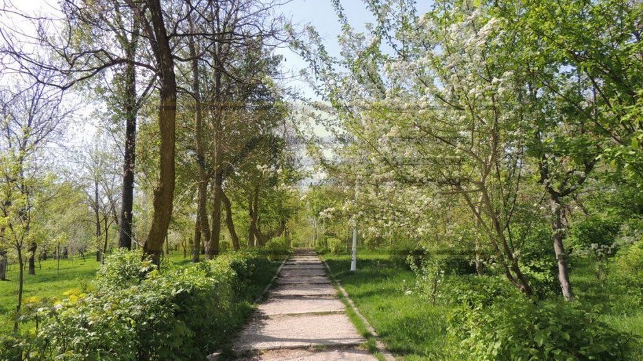 Apartament 3 camere premium Tatarasi Parcul Ciurchi - Poză 21