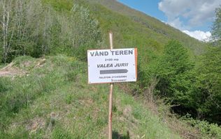 Teren intravilan Rau de Mori-Valea Jurii Retezat