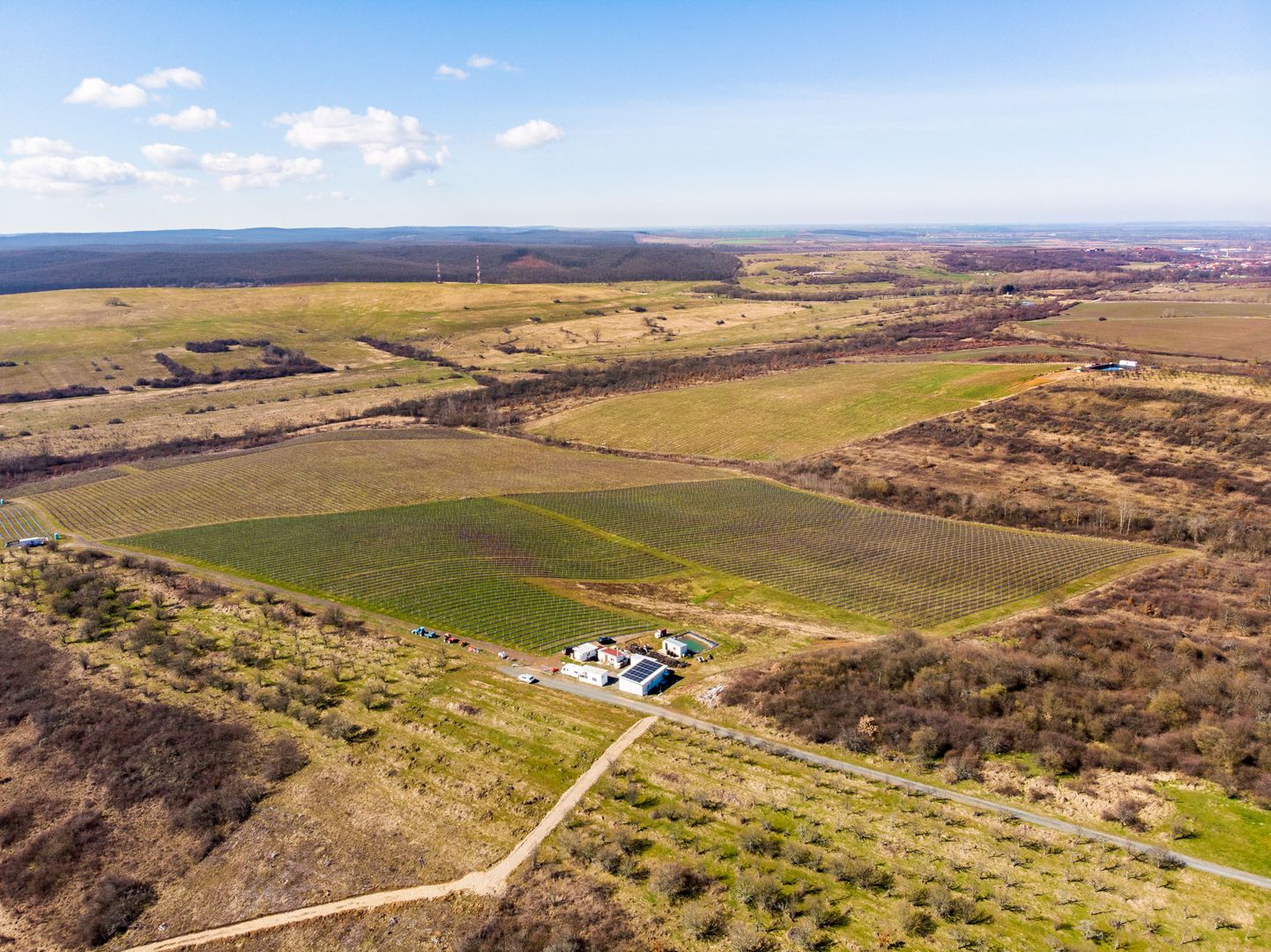 Plantație Bio de mure și zmeură  26,4 ha în Lipova - Poză 3