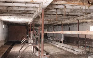 Fermă agricola funcțională de vanzare I Vurpar - Poză 23