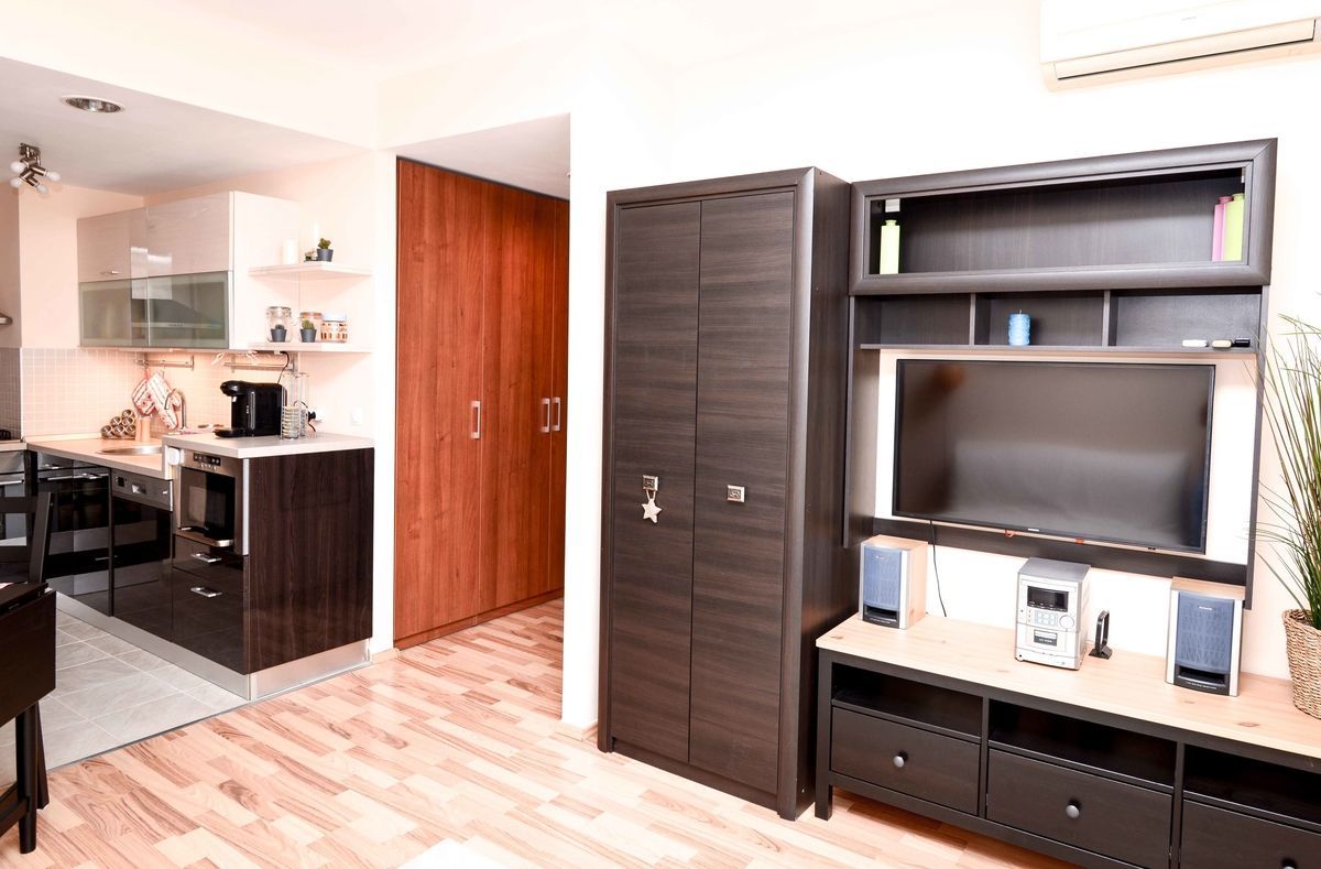 AP.2 CAMERE- ROSE GARDEN, PET-FRIENDLY, PARCARE, MASINA DE SPALAT VASE - Poză 5