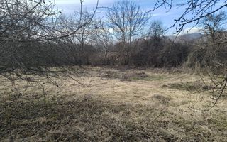 Teren Daesti / 814mp - Poză 1