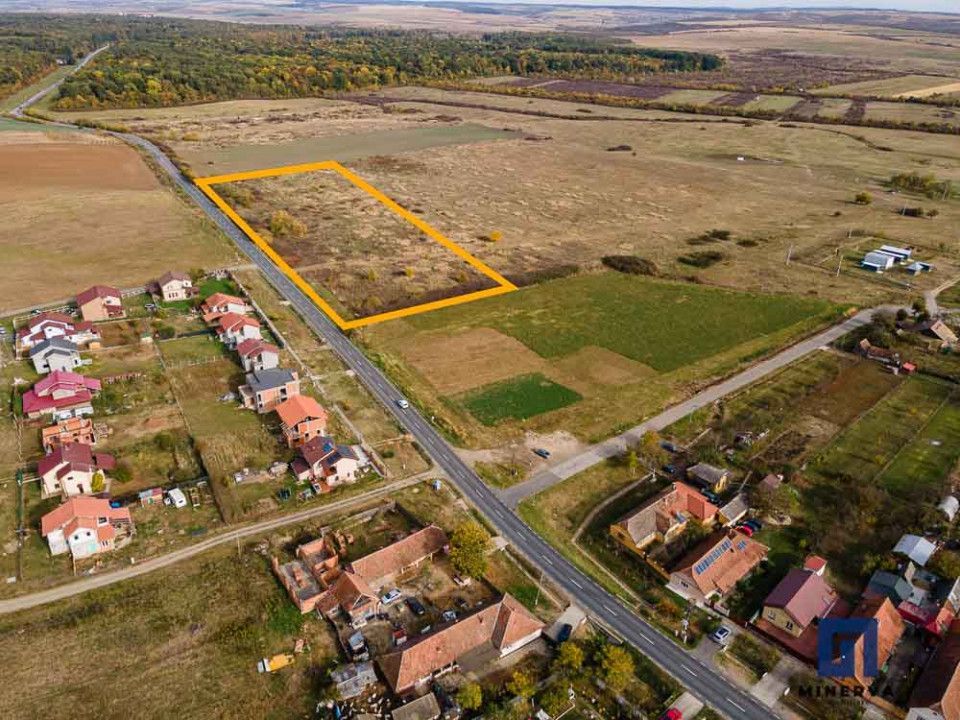 Teren pentru parcelare, 19000 mp, Pișchia, comision 0 - Poză 4