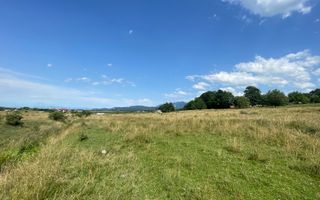 Teren de vanzare in  Tohanu Nou-Sohodol 6200 mp - Poză 7