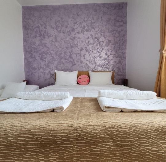 Vama Veche - Vila Sophia  - Vânzare pensiune P+1E la cheie. - Poză 27