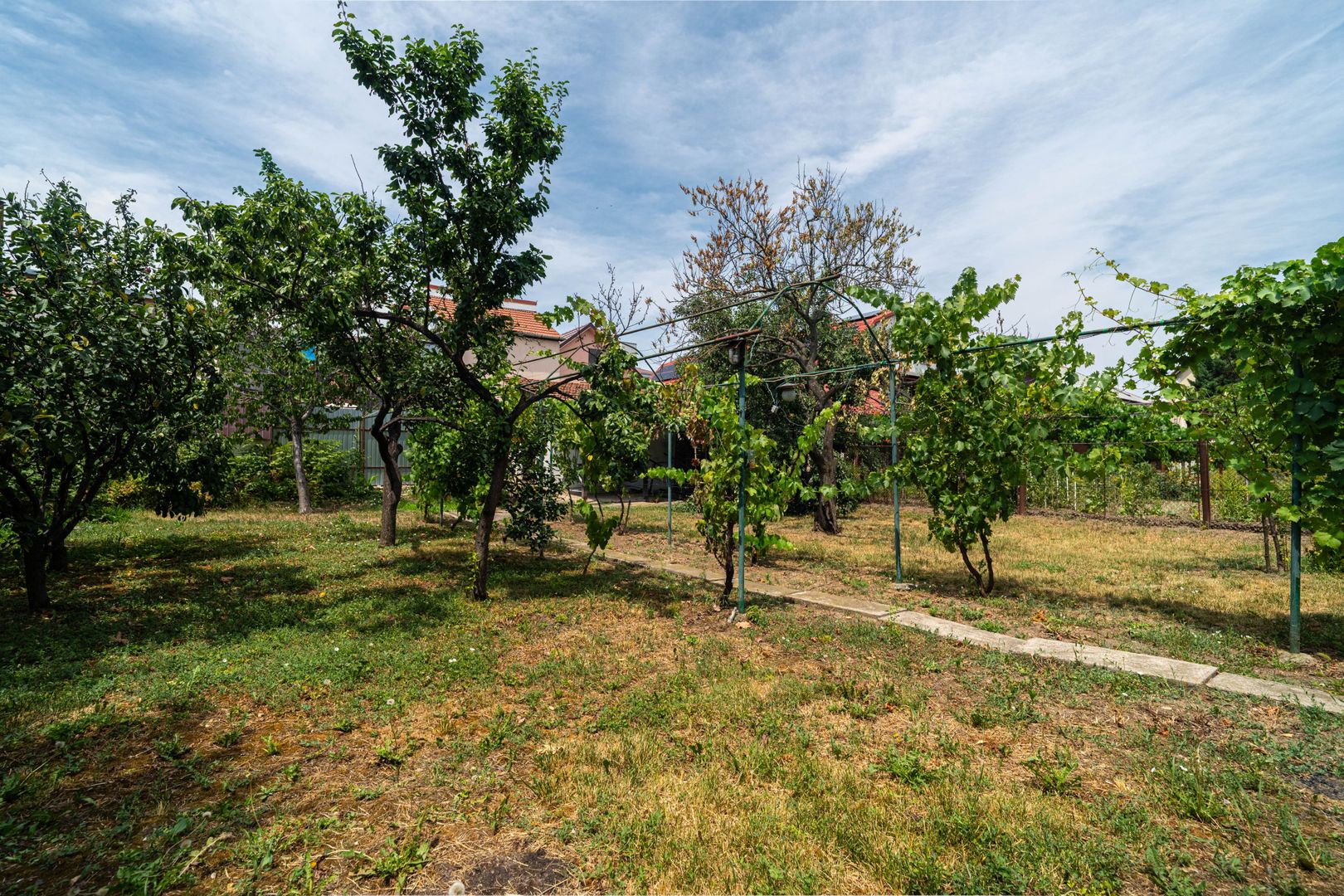 Casa 5 camere - teren 688 mp - Parneava - COMISION 0 - Poză 8