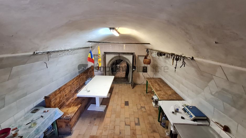 SAPIENT/TEREN INTRAVILAN 600 MP CU ANEXE ȘI PIVNITE - EPISCOPIA - Poză 5