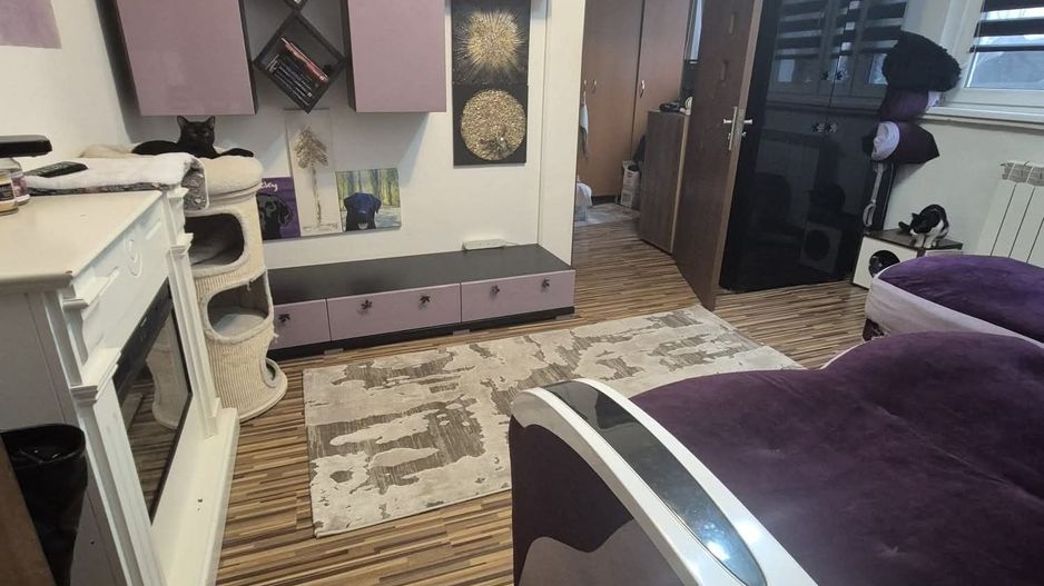 Apartament Valea Rosie - Poză 4