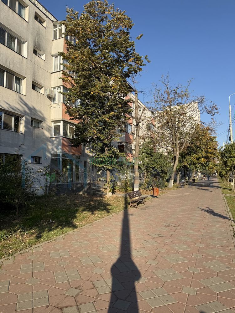 Spațiu comercial de 60 mp în Podu Roș, la Bulevardul Socola, Iași - Poză 3