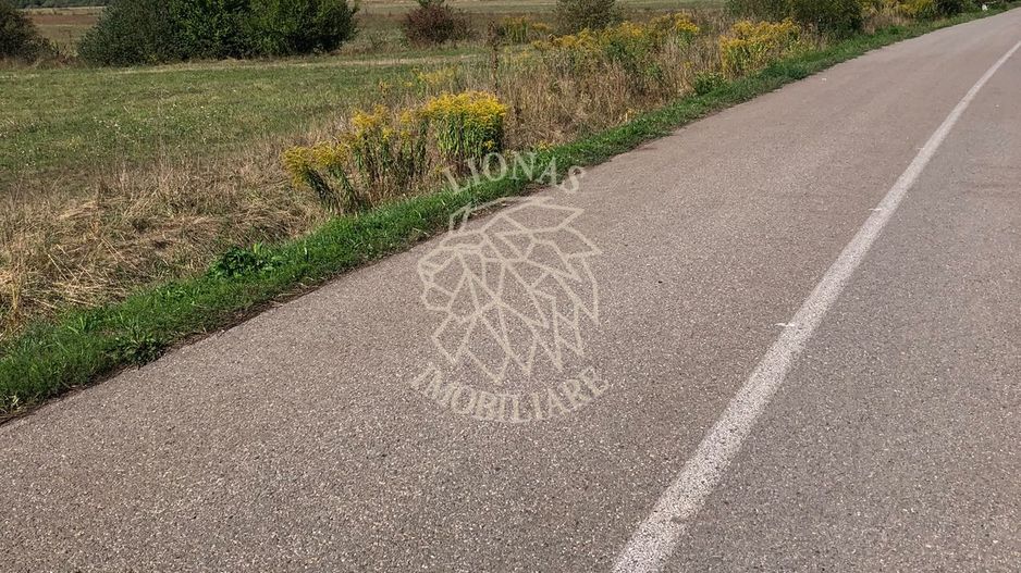 Teren 3500 mp la drum asfaltat-agricultura, investitie-Chintelnic - Poză 2