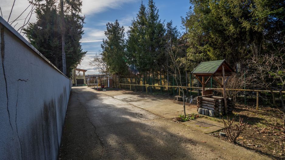 Vila de inchiriat Erou Iancu Nicolae - Poză 68