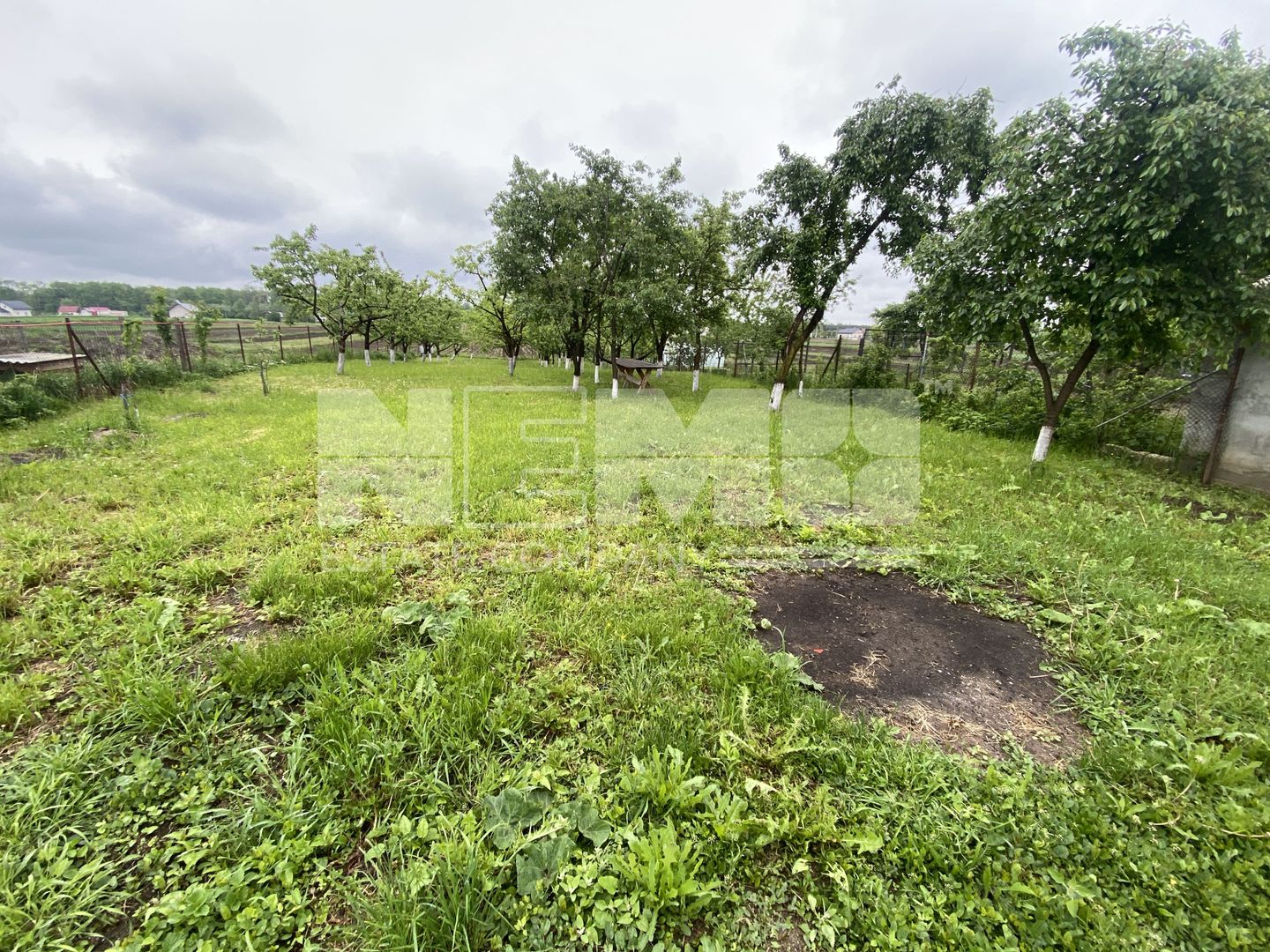 Casa de Vanzare | Maneuti | 3000MP - Poză 5