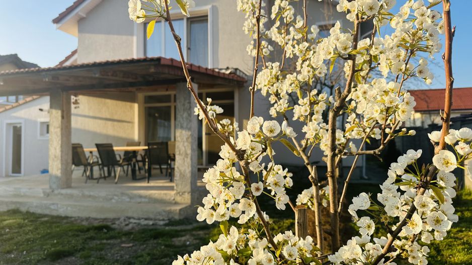 Vila individuala Sacalaz | 5 camere 191 mp, teren 503 mp | Comision 0% - Poză 3