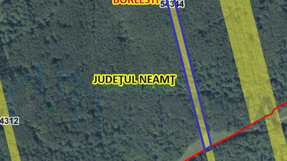 Teren forestier de vânzare, 1 ha, județul Neamț, comunele Rediu Borlești, OS Tazlău - Poză 1