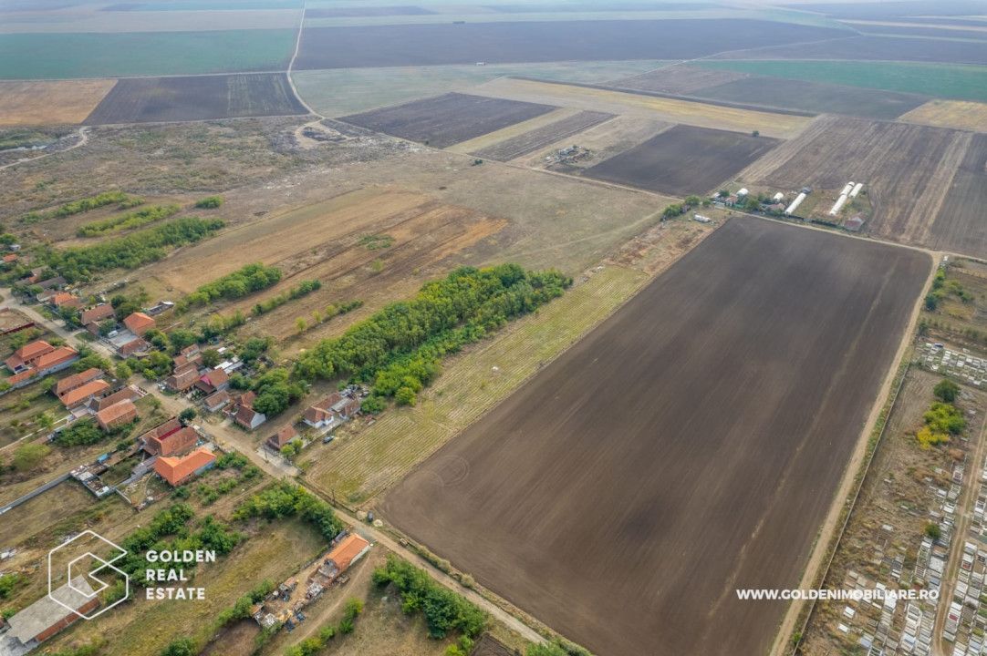 Teren intravilan, 14900 mp, Curtici - Poză 6