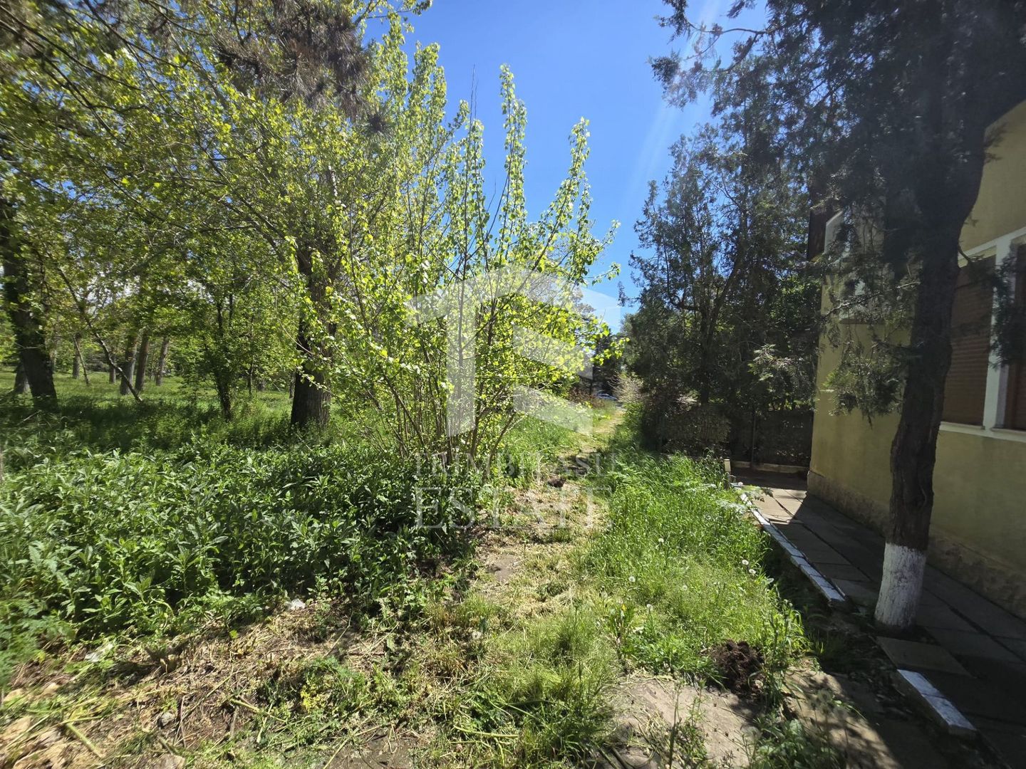 🏖 Teren de vanzare in Neptun – O oportunitate rara de investitie. - Poză 14