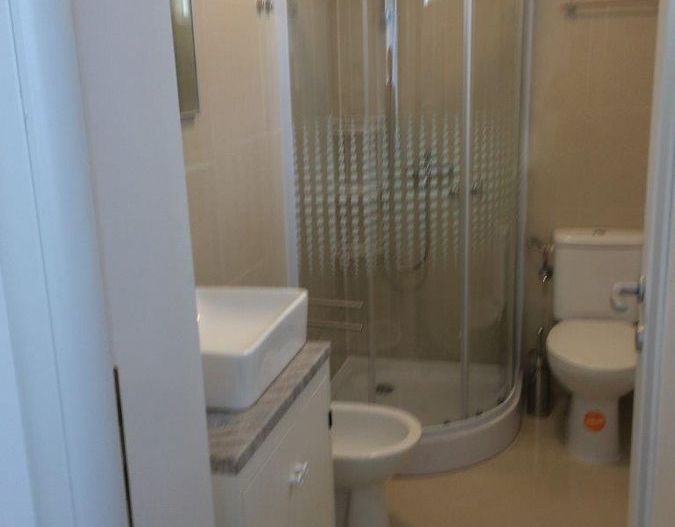 Apartament in vila prima inchiriere Domenii | Popisteanu - Poză 12