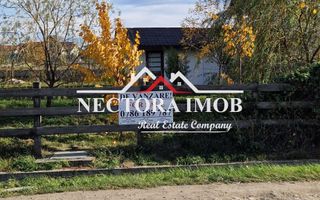 NECTORA IMOB-Centru medical multifunctional Osorhei E60, 1000 mp teren - Poză 2