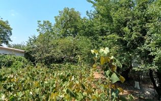 Teren Drumul Muntenilor, 980 mp, 2 deschideri