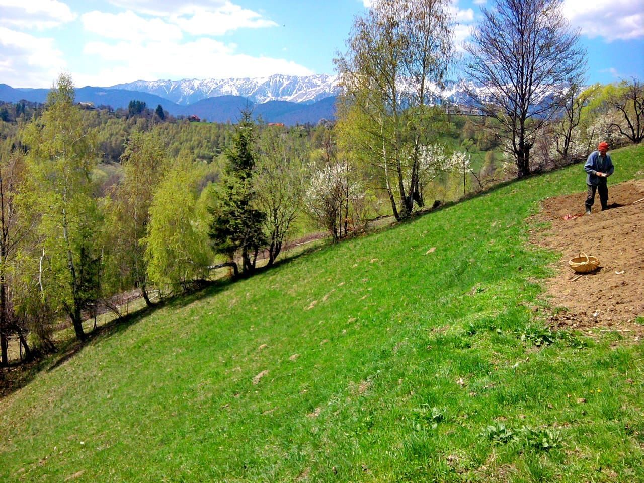 teren intravilan in zona Magura Bran - Poză 10