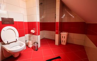 2 Case | 8 Camere | Teren 1180 | Porumbacu de Sus - Poză 22