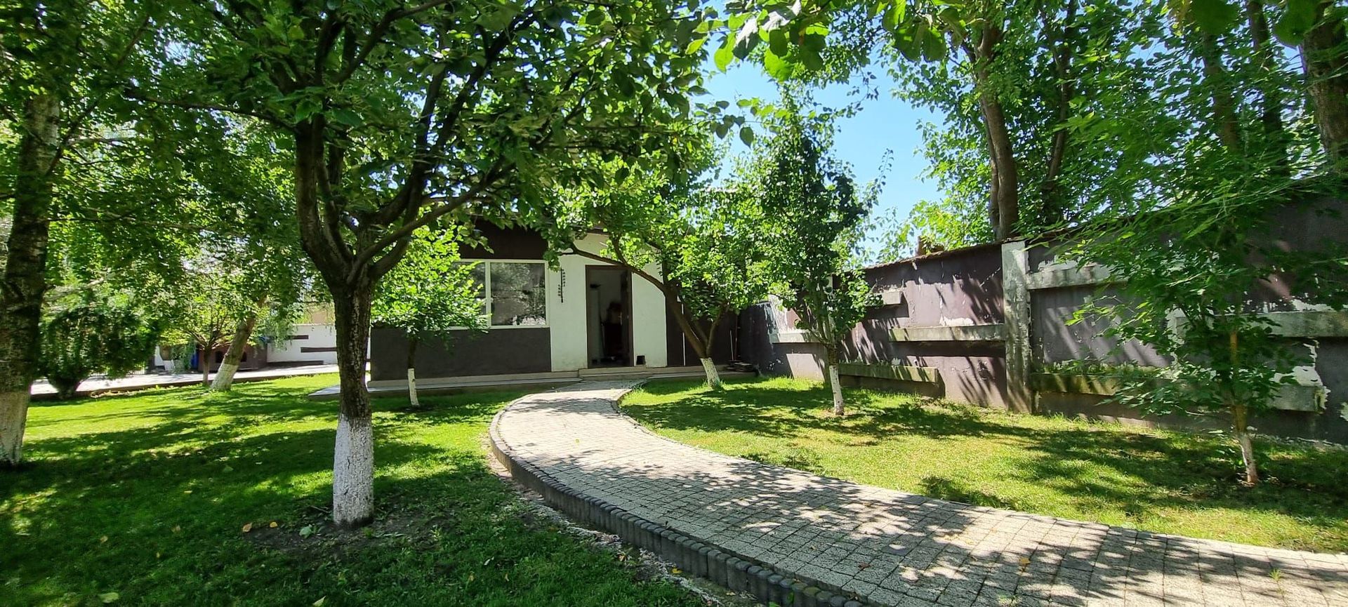 Vila Solaris - Poză 11