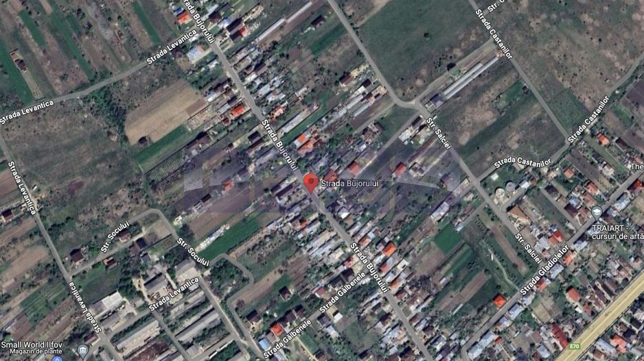 Teren Cornetu 2380 mp intravilan - Poză 4